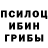 Галлюциногенные грибы мухоморы Ivan Hard