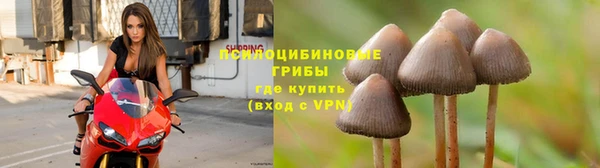 кристаллы Богданович