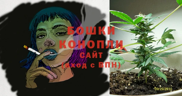 эйфоретик Богородицк