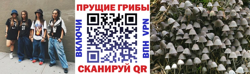 Галлюциногенные грибы Magic Shrooms  Пенза 